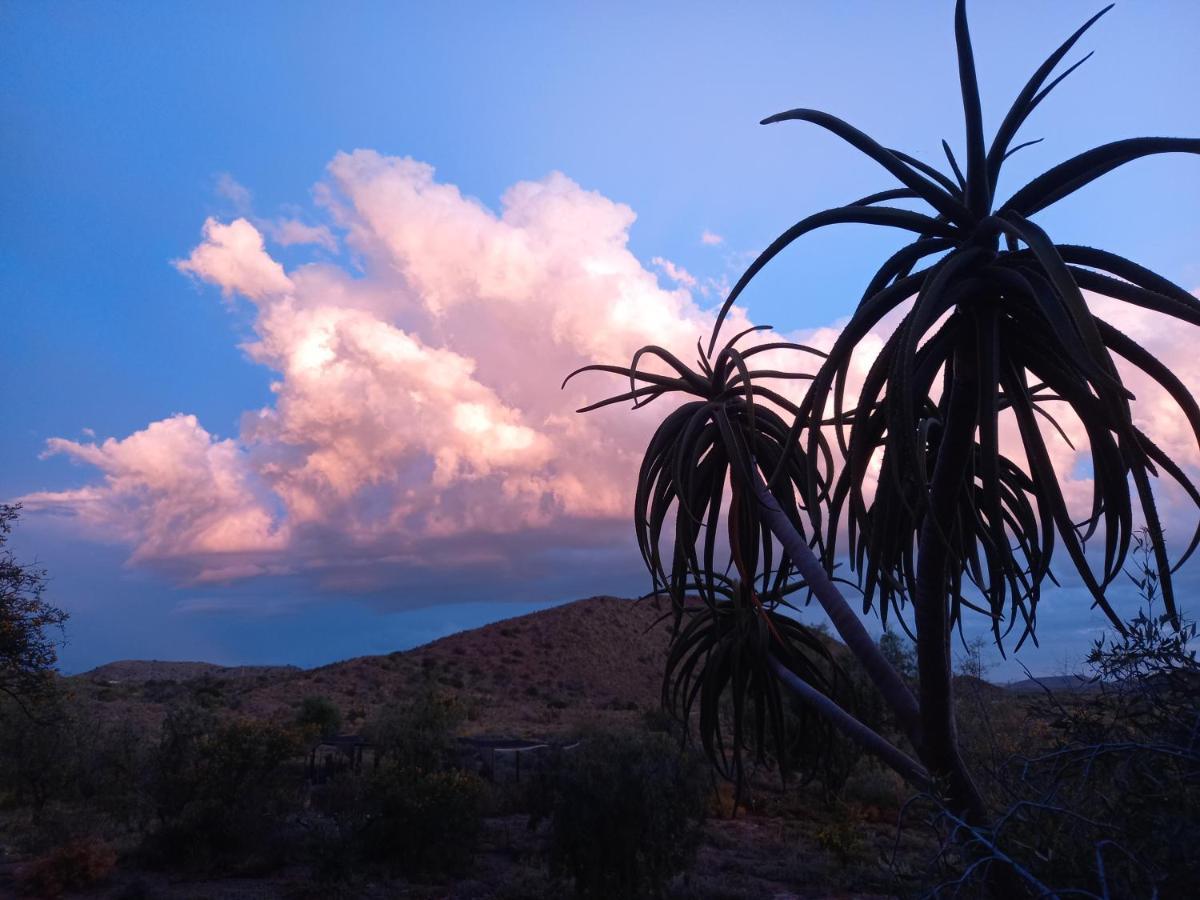 Wolverfontein Karoo Cottages レディスミス エクステリア 写真