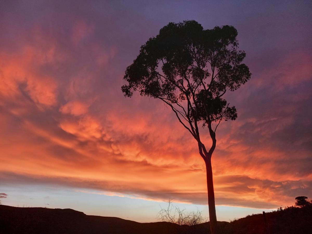 Wolverfontein Karoo Cottages レディスミス エクステリア 写真