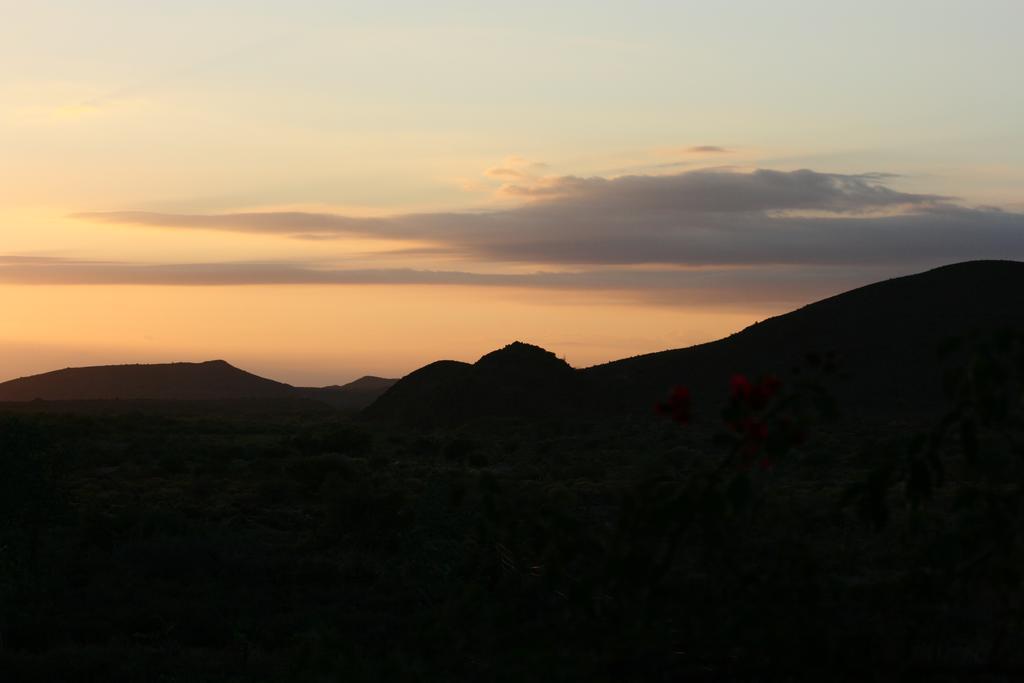 Wolverfontein Karoo Cottages レディスミス エクステリア 写真