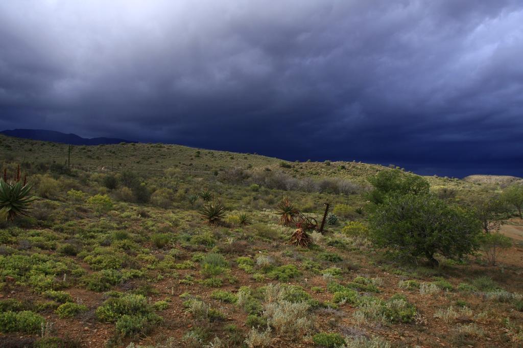 Wolverfontein Karoo Cottages レディスミス エクステリア 写真