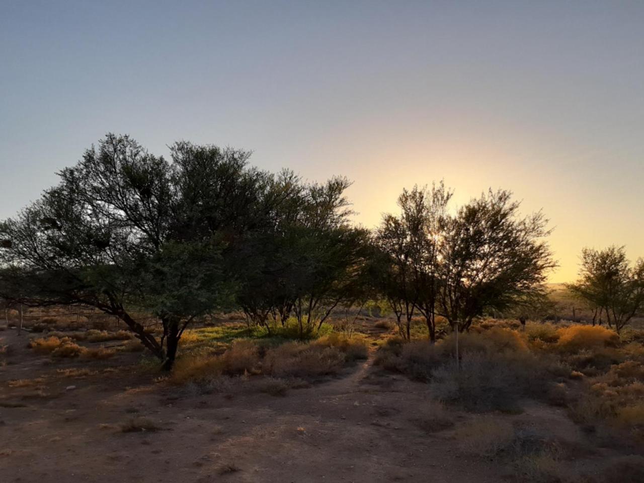 Wolverfontein Karoo Cottages レディスミス エクステリア 写真