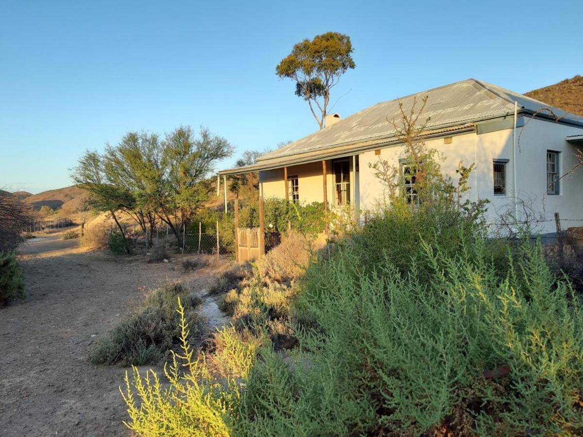 Wolverfontein Karoo Cottages レディスミス エクステリア 写真